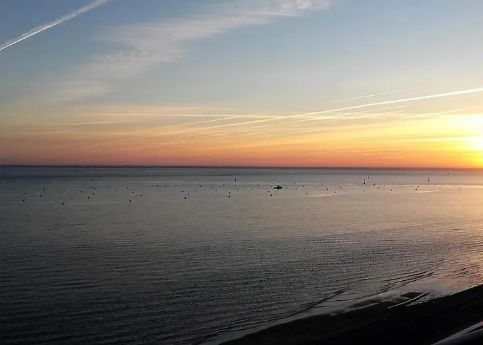 Arcachon: Rénové, Terrasse Avec Vue, Accès Plage, Parking Sécurisé - Fr-1-420-11 Appartement *