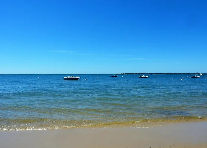 公寓 Arcachon: Renove, Terrasse Avec Vue, Acces Plage, Parking Securise - Fr-1-420-11 阿卡雄