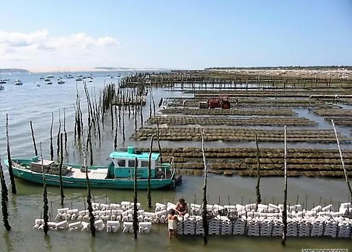 Lägenhet Arcachon: Renove, Terrasse Avec Vue, Acces Plage, Parking Securise - Fr-1-420-11